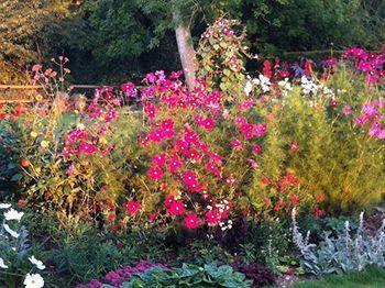 Gunville House B&B Grateley Buitenkant foto